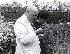 Джон Холден (1892-1964) считал, что Бог, вероятно, любит жуков (фото с сайта wikipedia.org).